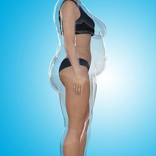 Conceptual image of a fat and skinny women